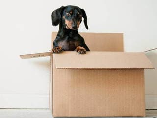 A Move Made Easy Inc image 2