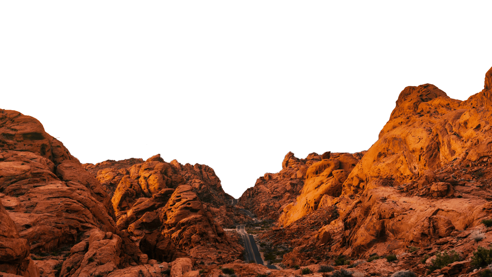 All Out Movers LLC image 1