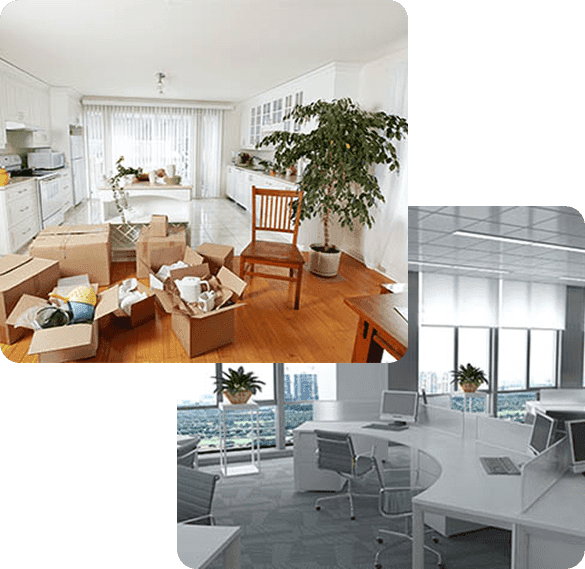 AZ Student Movers image 1