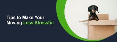 Bella Removals image 4