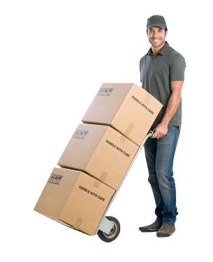 Bellevue Movers LLC image 1