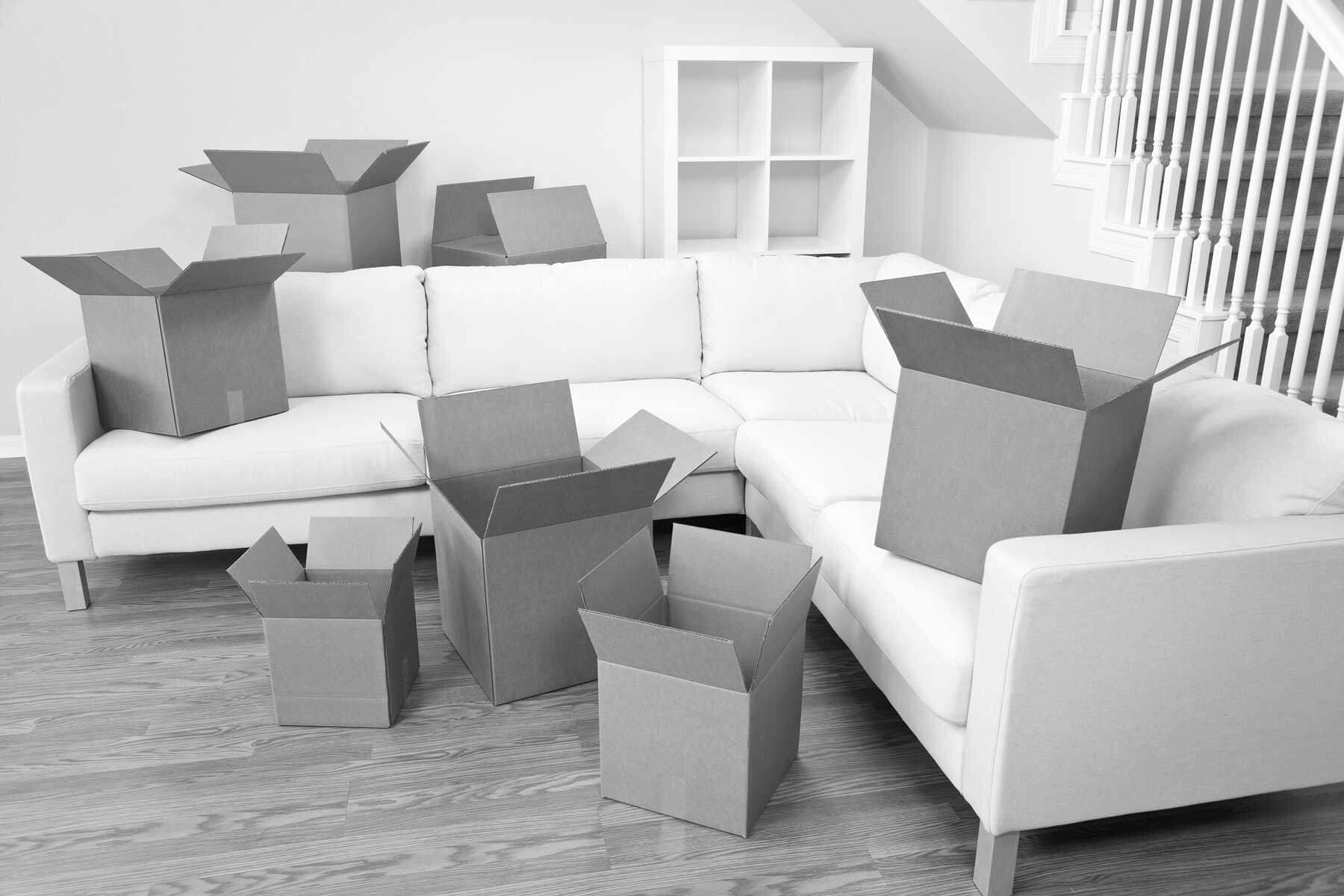 BG Removals & Storage image 2