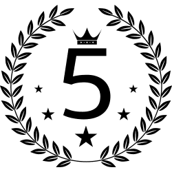 Big Dog Movers of Madison LLC logo