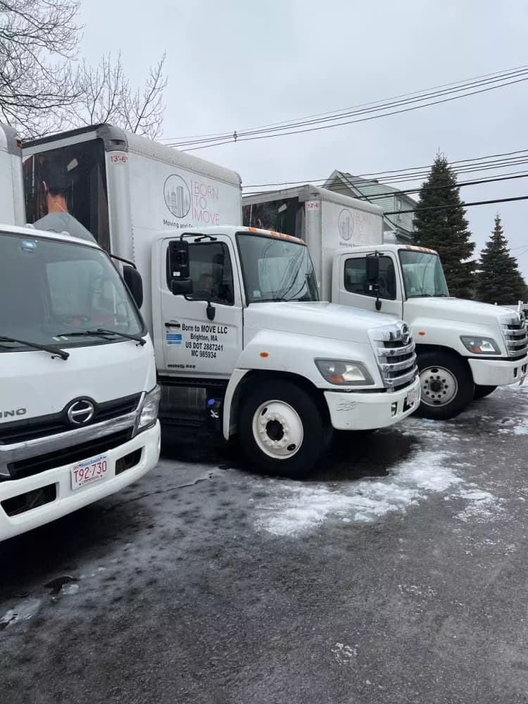 ๐๐ผ๐ฟ๐ป ๐๐ผ ๐บ๐ผ๐๐ฒ ๐ ๐ถ๐ฎ๐บ๐ถ image 4