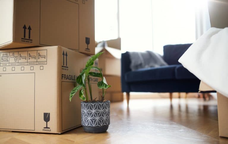 Bright Movers image 3