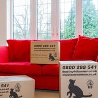 Doree Bonner International logo