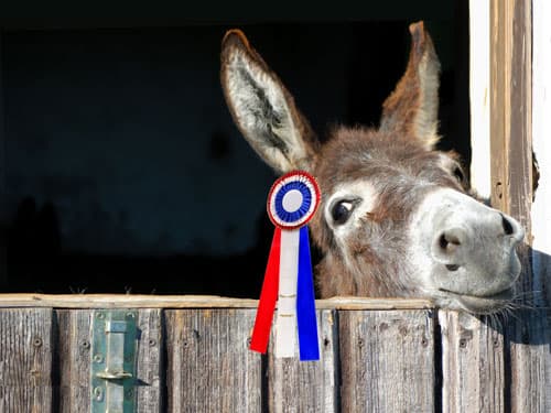 Duffel Donkey LLC image 1