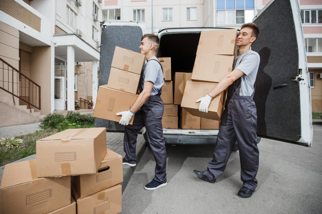 E-z Miz Movers image 3