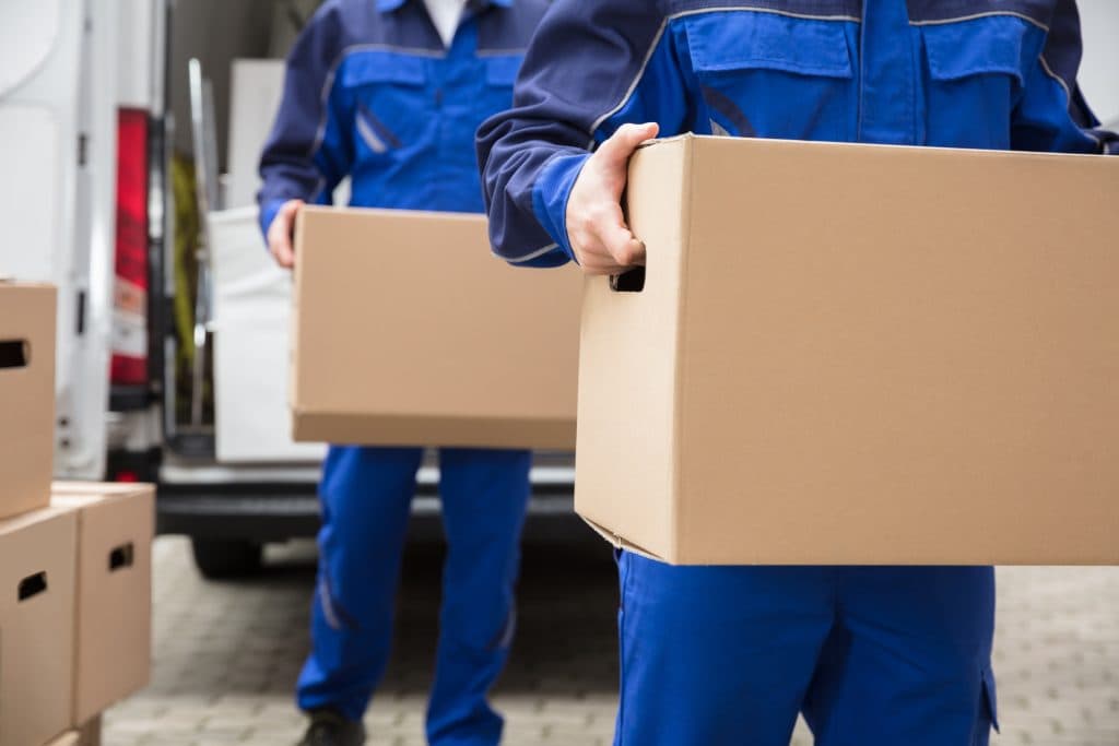E-z Miz Movers image 1