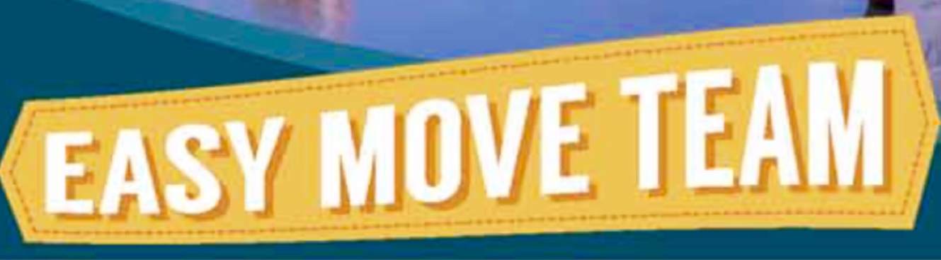 Easy Move Team image 1