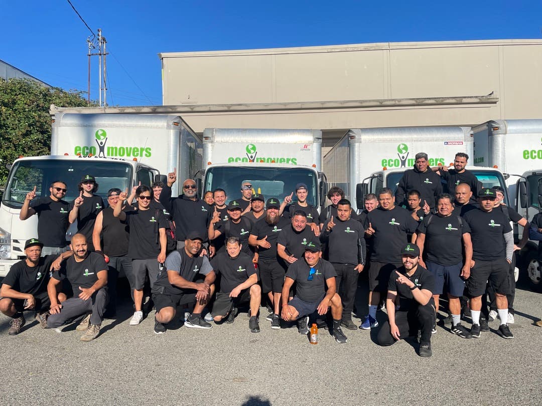 Eco Movers Moving & Storage Bellevue Movers image 4