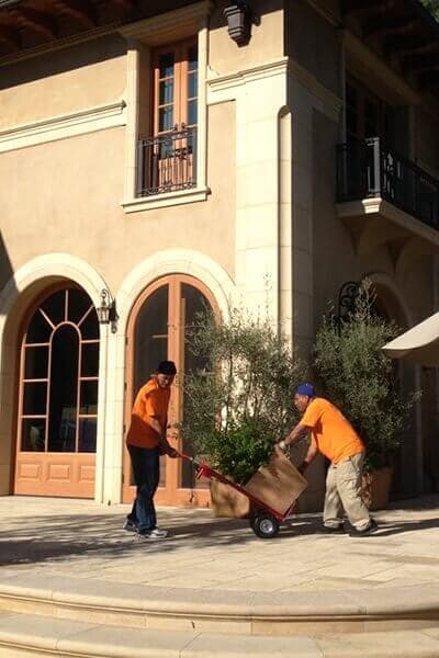 Elite Moving & Storage - Los Angeles Movers image 2