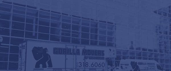 Gorilla Movers Of Wisconsin Inc. image 1