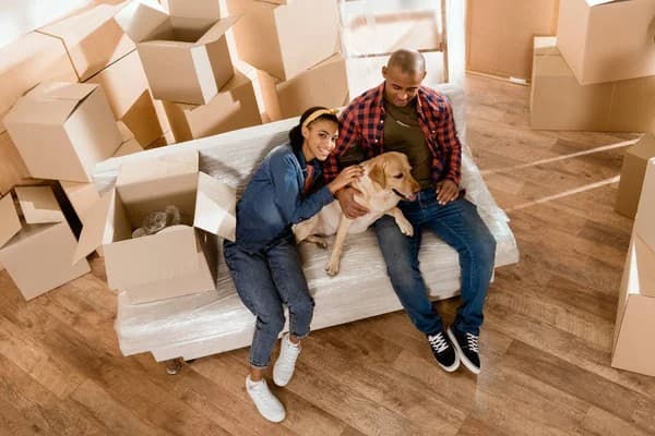 home court movers image 4