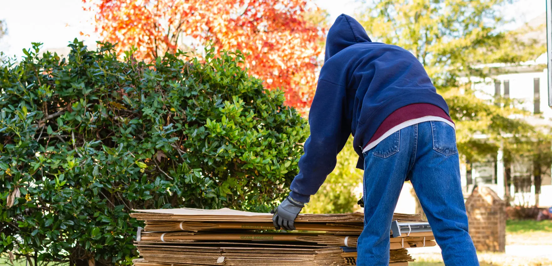 Moving Guys For Rent image 1