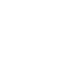 Northland Maxi-Vaults logo
