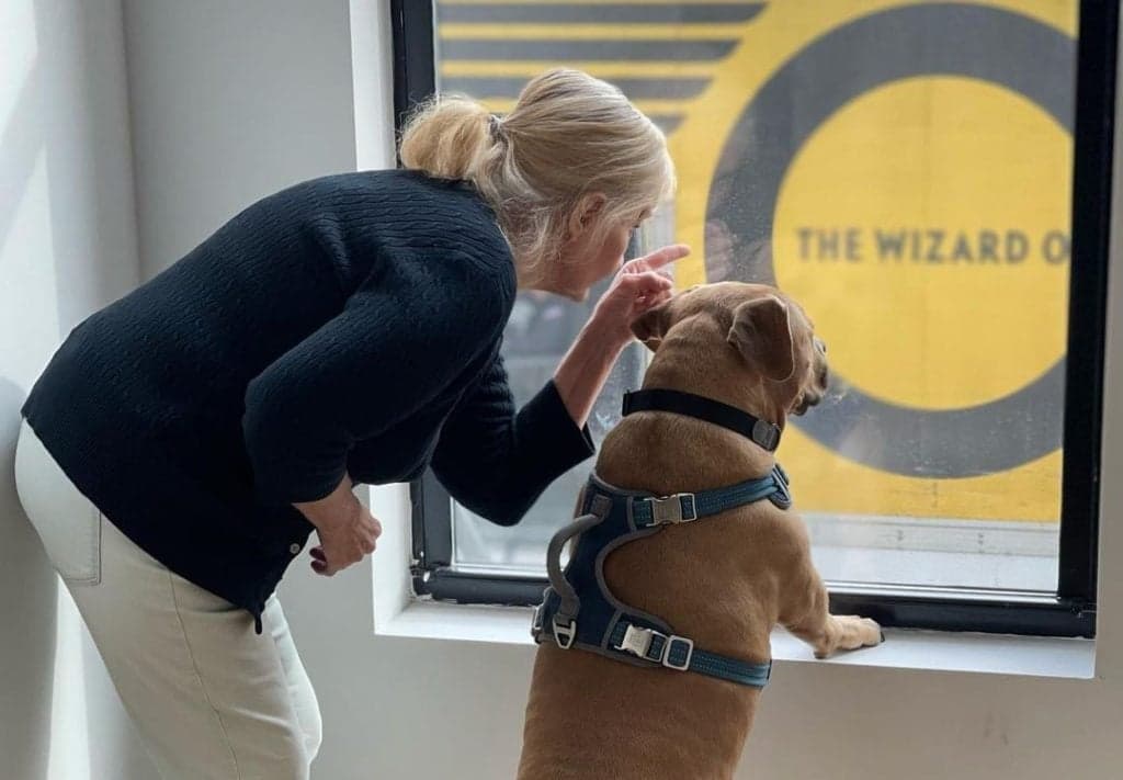 Oz Moving & Storage - Stamford Movers image 3