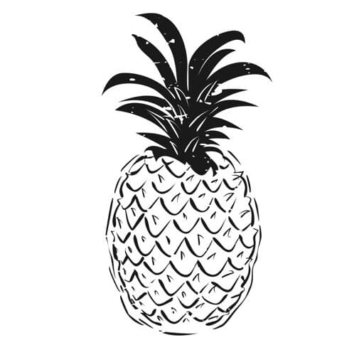 Pineapple Movers image 1
