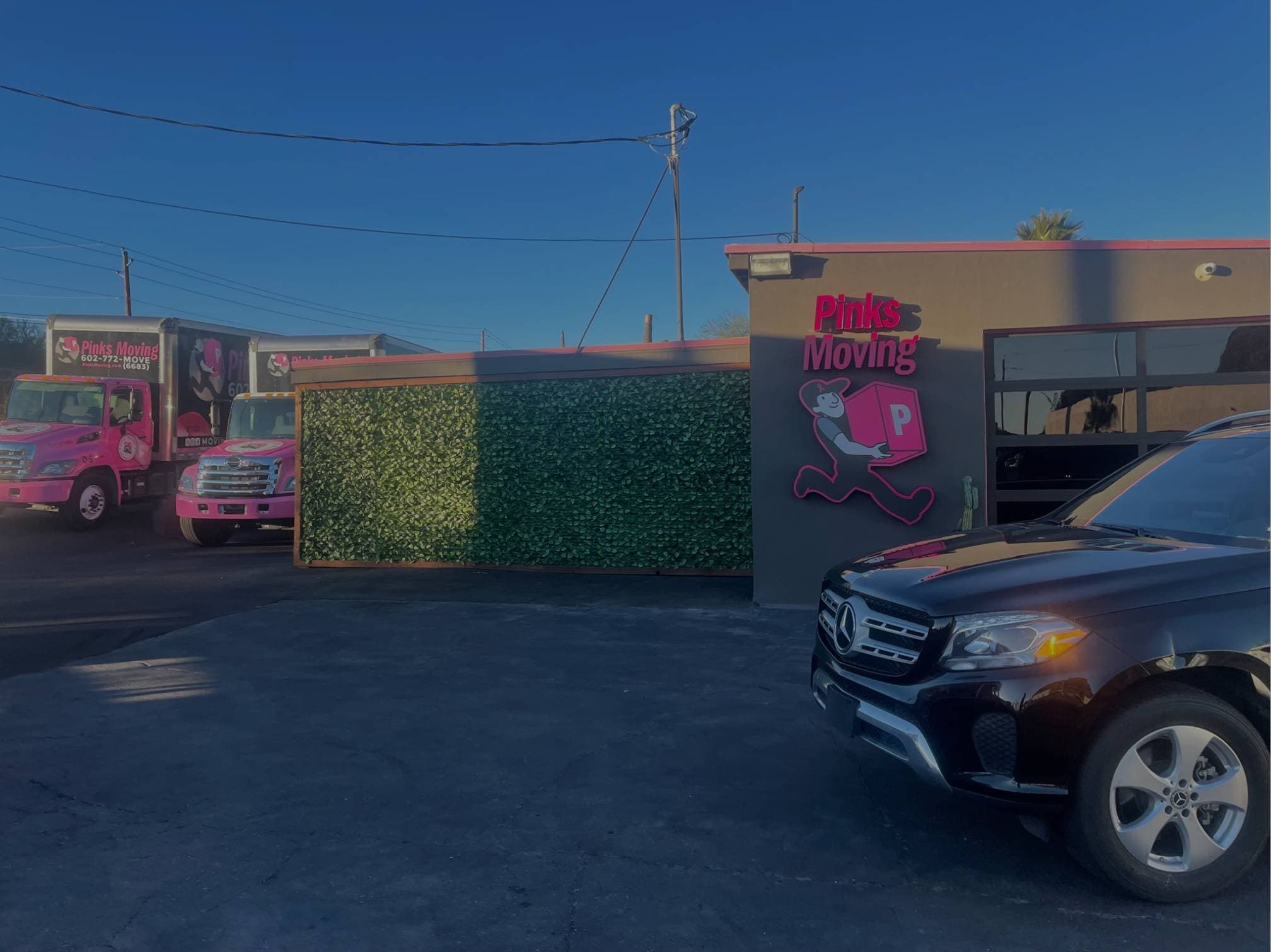 Pinks Moving image 3