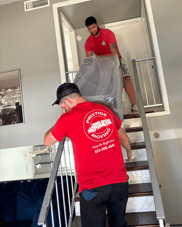 Prestige Moving image 2