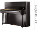 Pro Piano Moving image 2