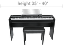 Pro Piano Moving image 4
