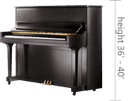 Pro Piano Moving image 3