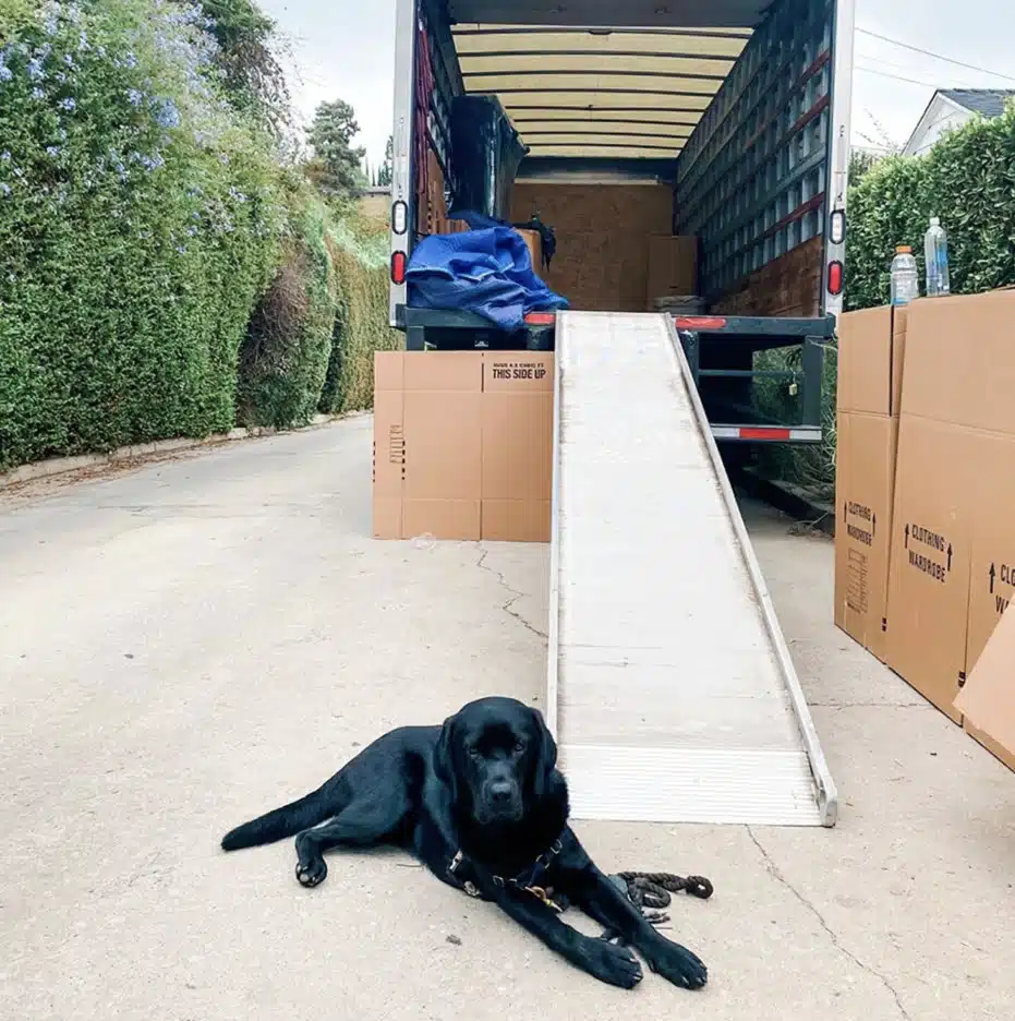 Pure Moving Company Los Angeles Movers Local & Long distance image 2