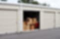 Quick Draw Moving image 2