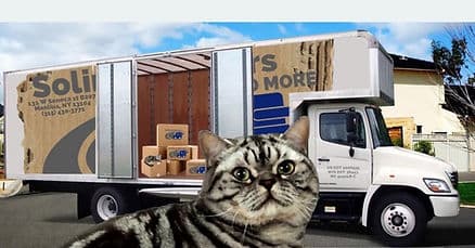 Soliman Movers and More image 1