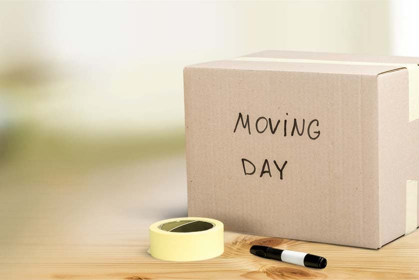 Southend Removals - Moving Company, Packaging Company, Man With Van image 1