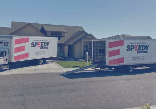 Speedy Movers image 1