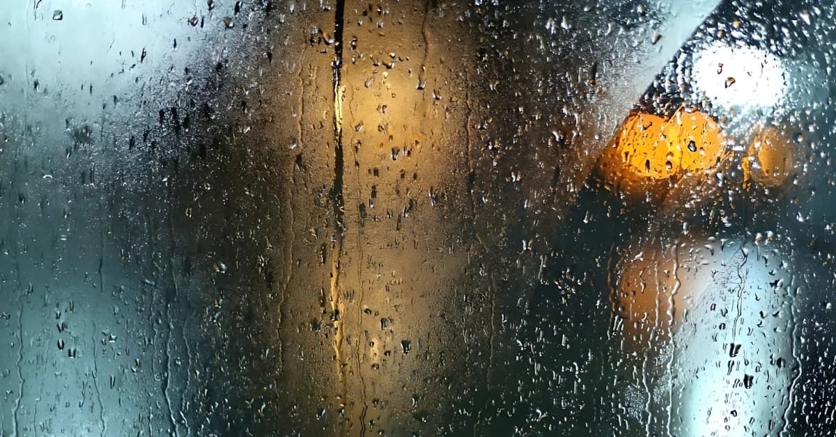 The Move Team image 1