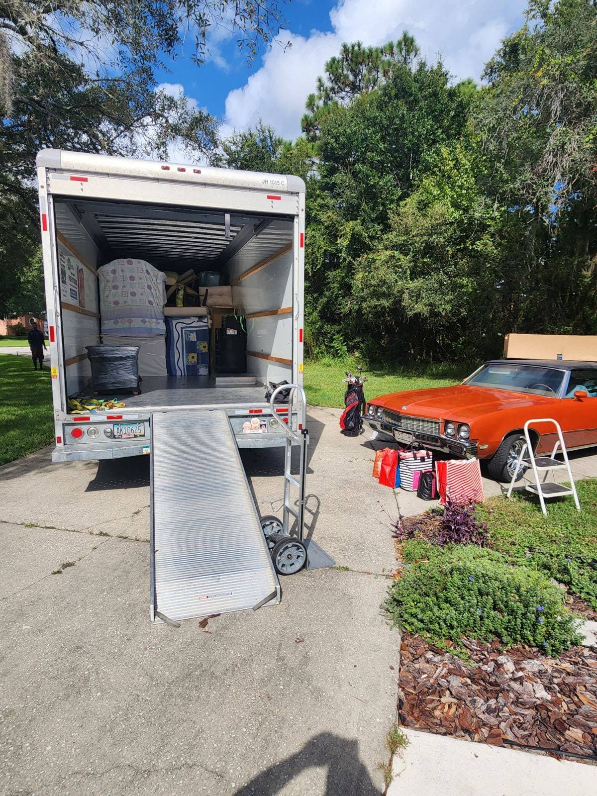 True Life Movers image 4